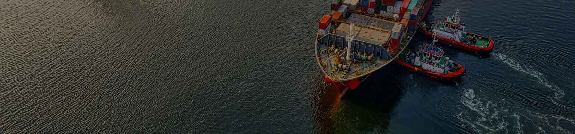 shape